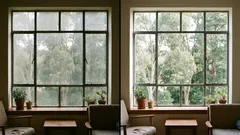 Why less soap and a squeegee are the secret to streak-free windows