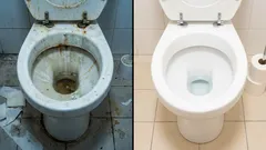 How to clean the toilet bowl inside: effective ways to remove plaque, stone and rust