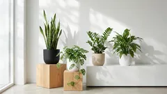The most resilient houseplants: a choice for the forgetful and the always busy